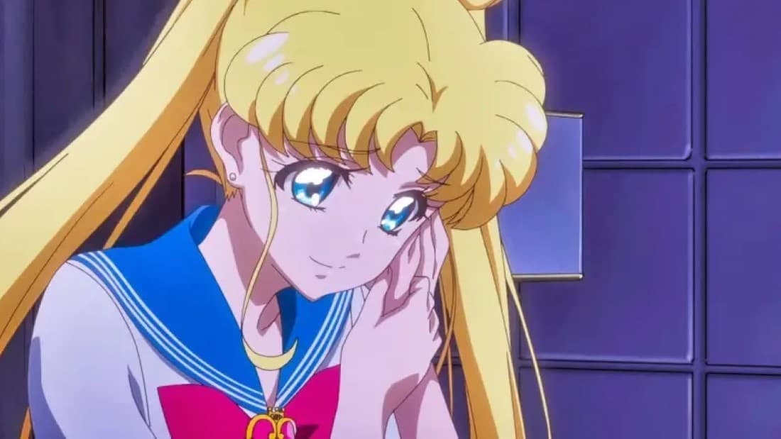 Usagi Tsukino/Sailor Moon (Sailor Moon)