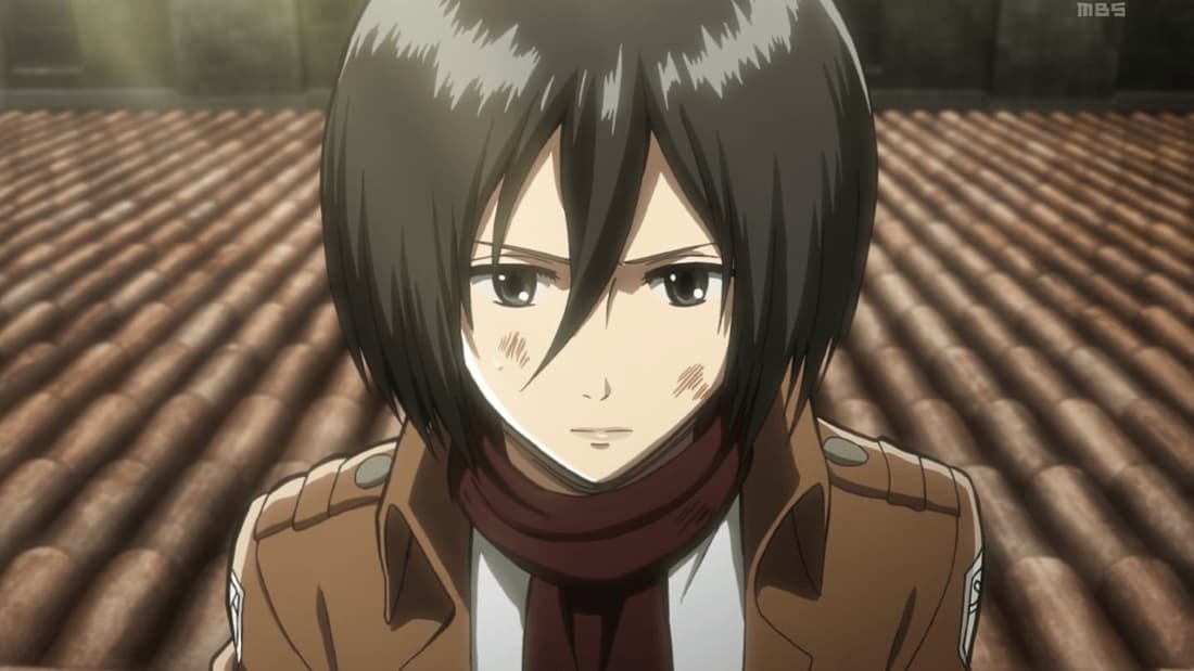 Mikasa Ackerman