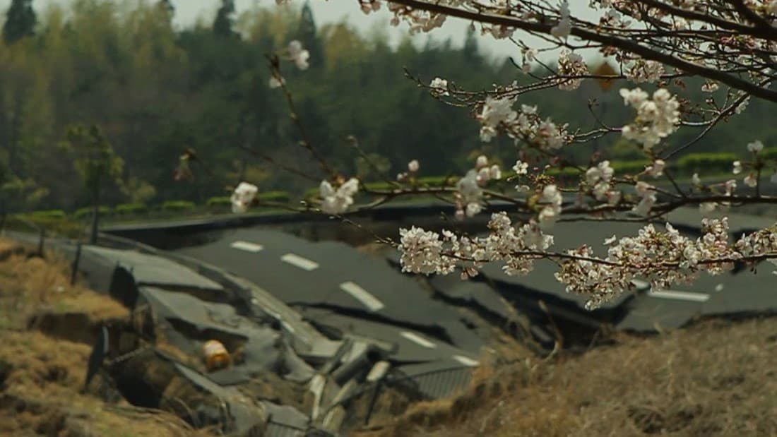 The Tsunami and The Cherry Blossom (2011)