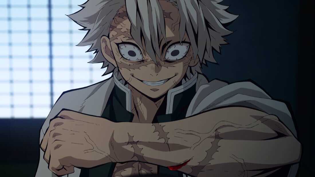 Sanemi Shinuzugawa (Demon Slayer: Kimetsu no Yaiba)