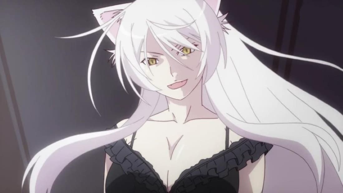 Black Hanekawa