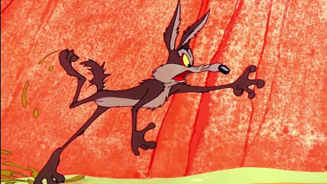 WILE E. COYOTE (Looney Tunes)