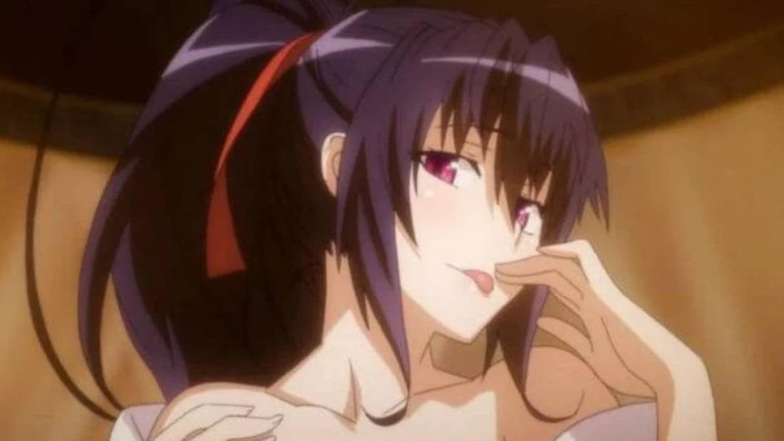 Akeno Himejima (High School DxD)