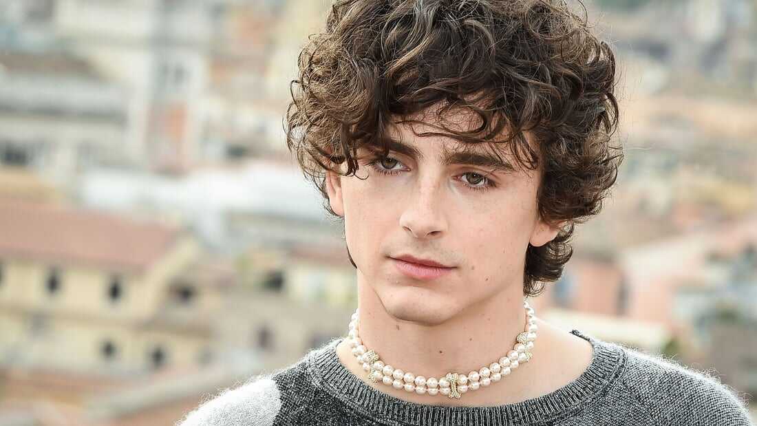 Timothée Chalamet