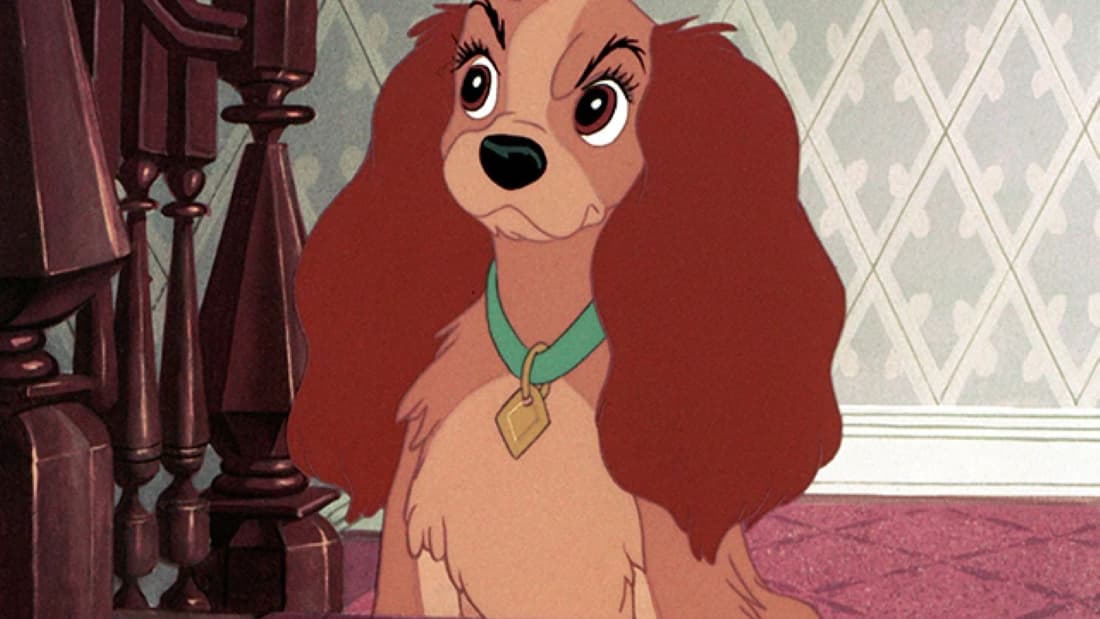 Lady (disney) (old)