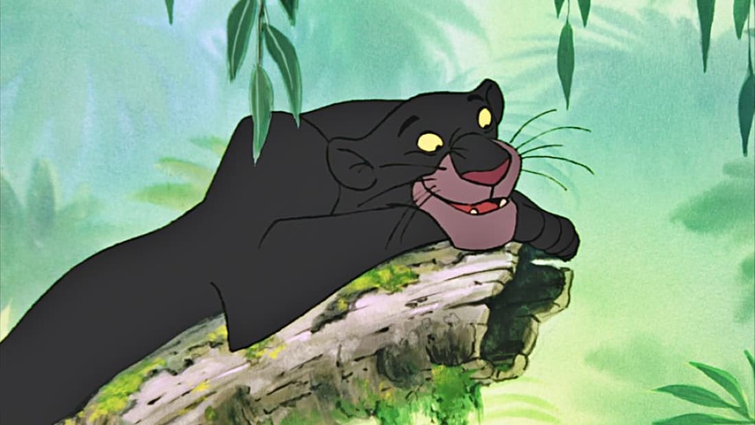 Bagheera