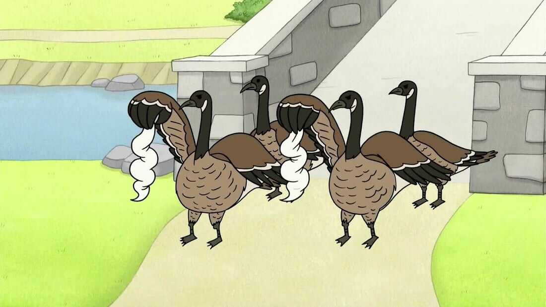 Geese