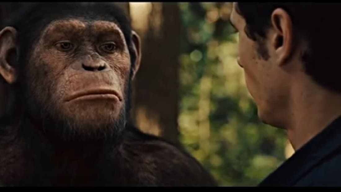 Rise Of The Planet Of The Apes (2011)